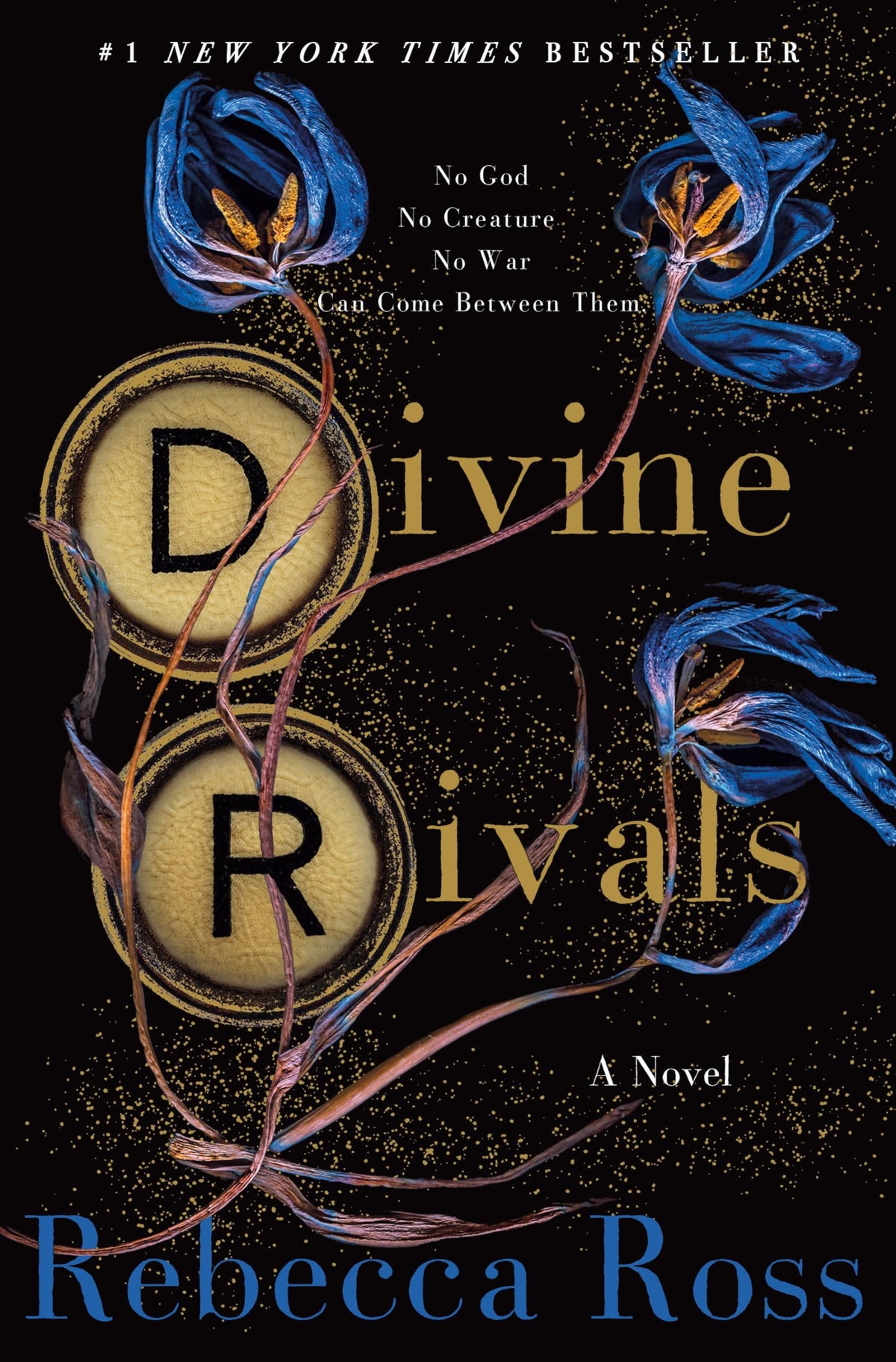 Divine Rivals: A Novel (Letters of Enchantment, 1)- HC
