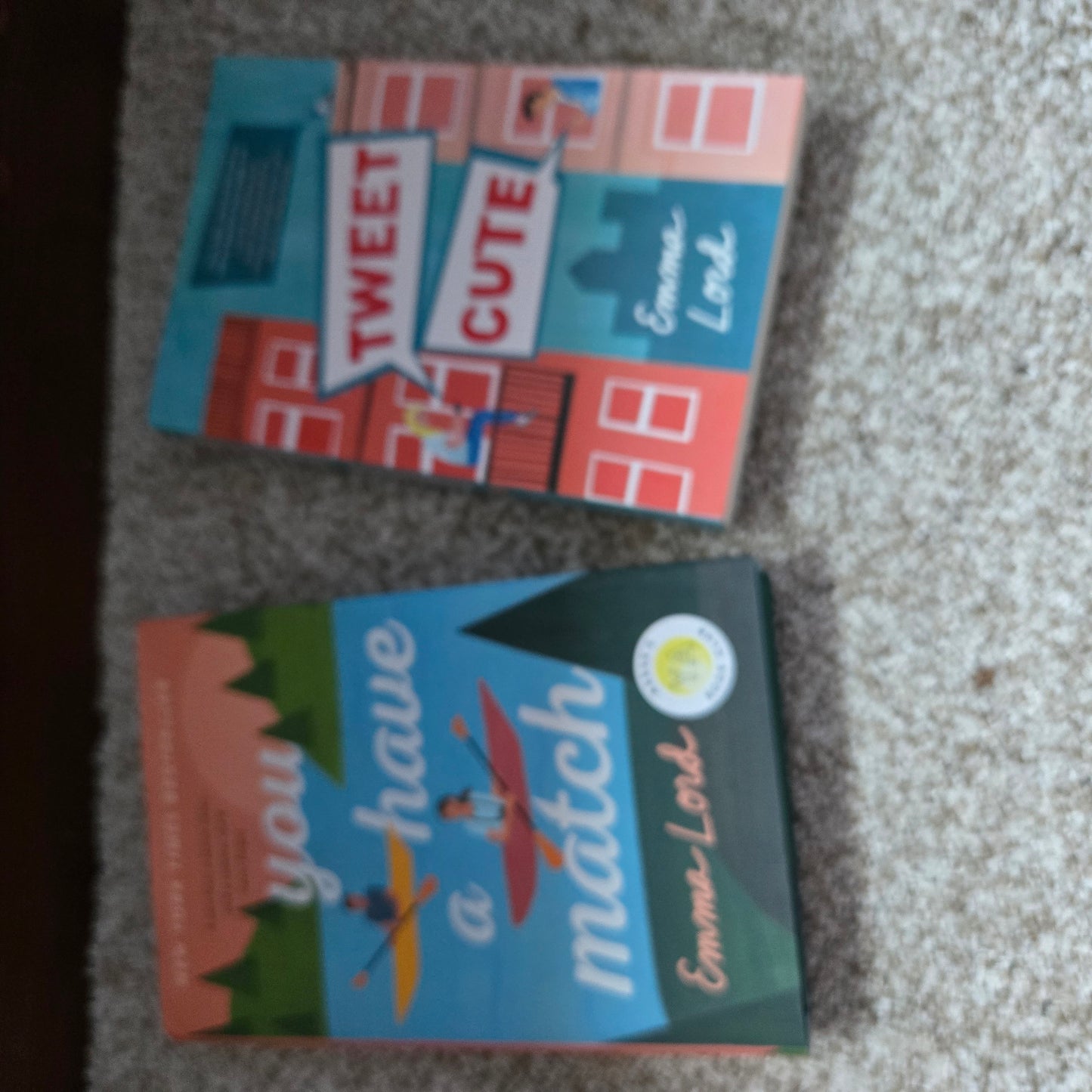 Book Assortment 1- used- excellent condition