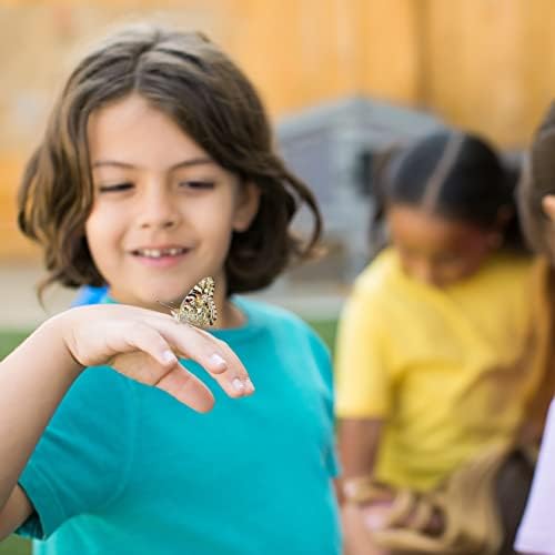 Raise and Release Butterfly Garden Kit – Caterpillar Habitat with redeemable Voucher- STEM