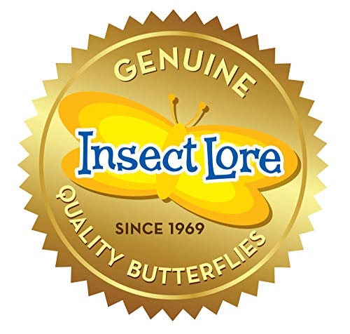 Raise and Release Butterfly Garden Kit – Caterpillar Habitat with redeemable Voucher- STEM