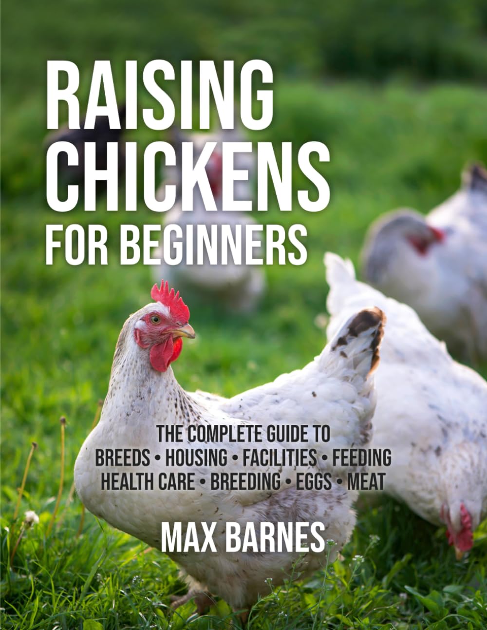Raising Chickens for Beginners, paperback