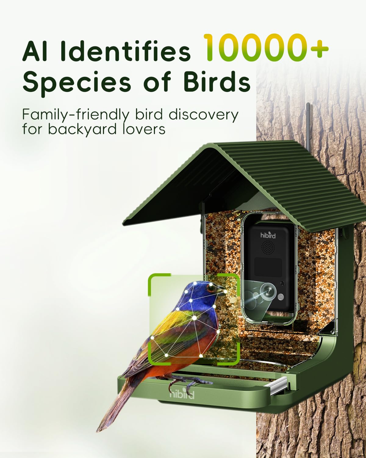 4K HD Smart Bird Feeder with Camera