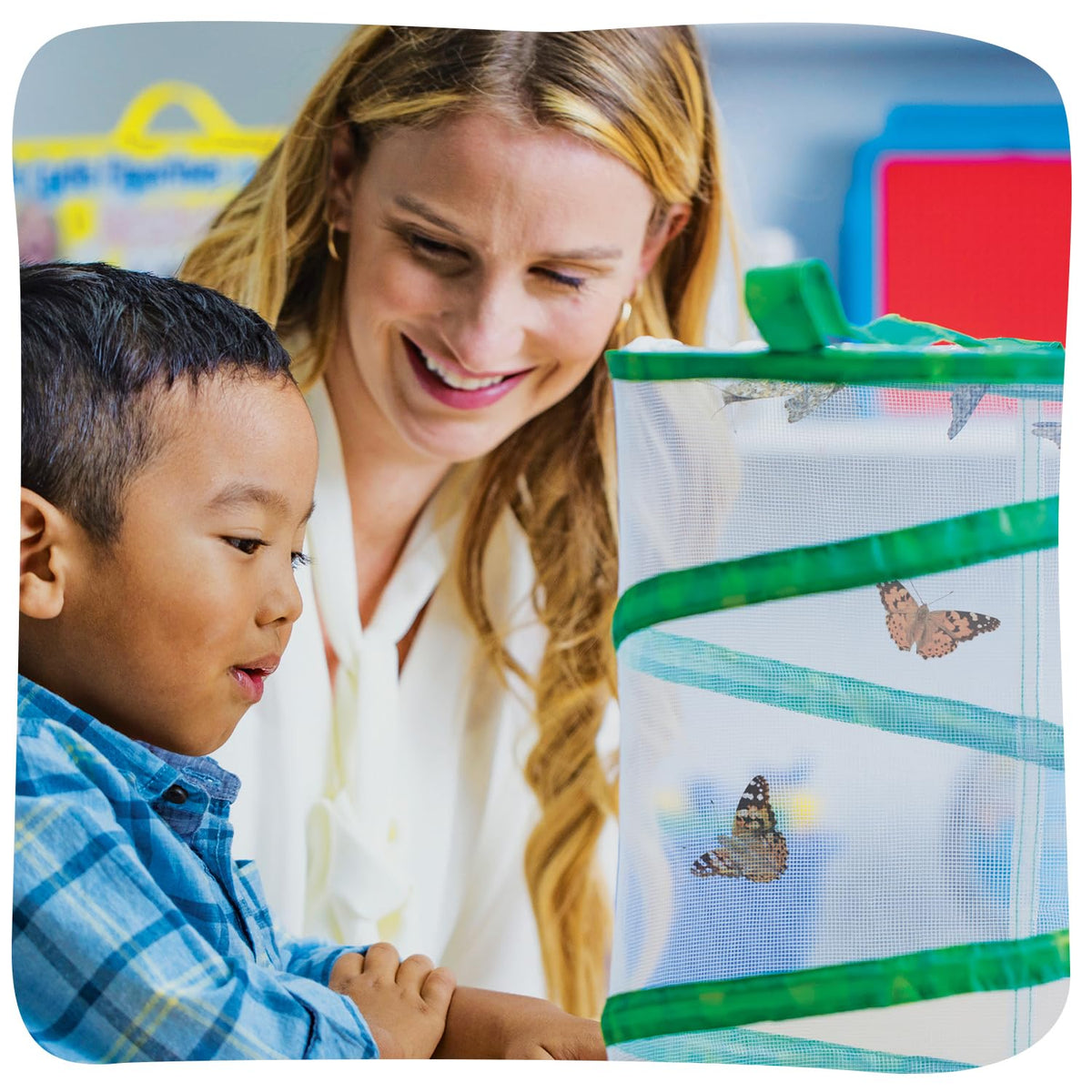 Raise and Release Butterfly Garden Kit – Caterpillar Habitat with redeemable Voucher- STEM