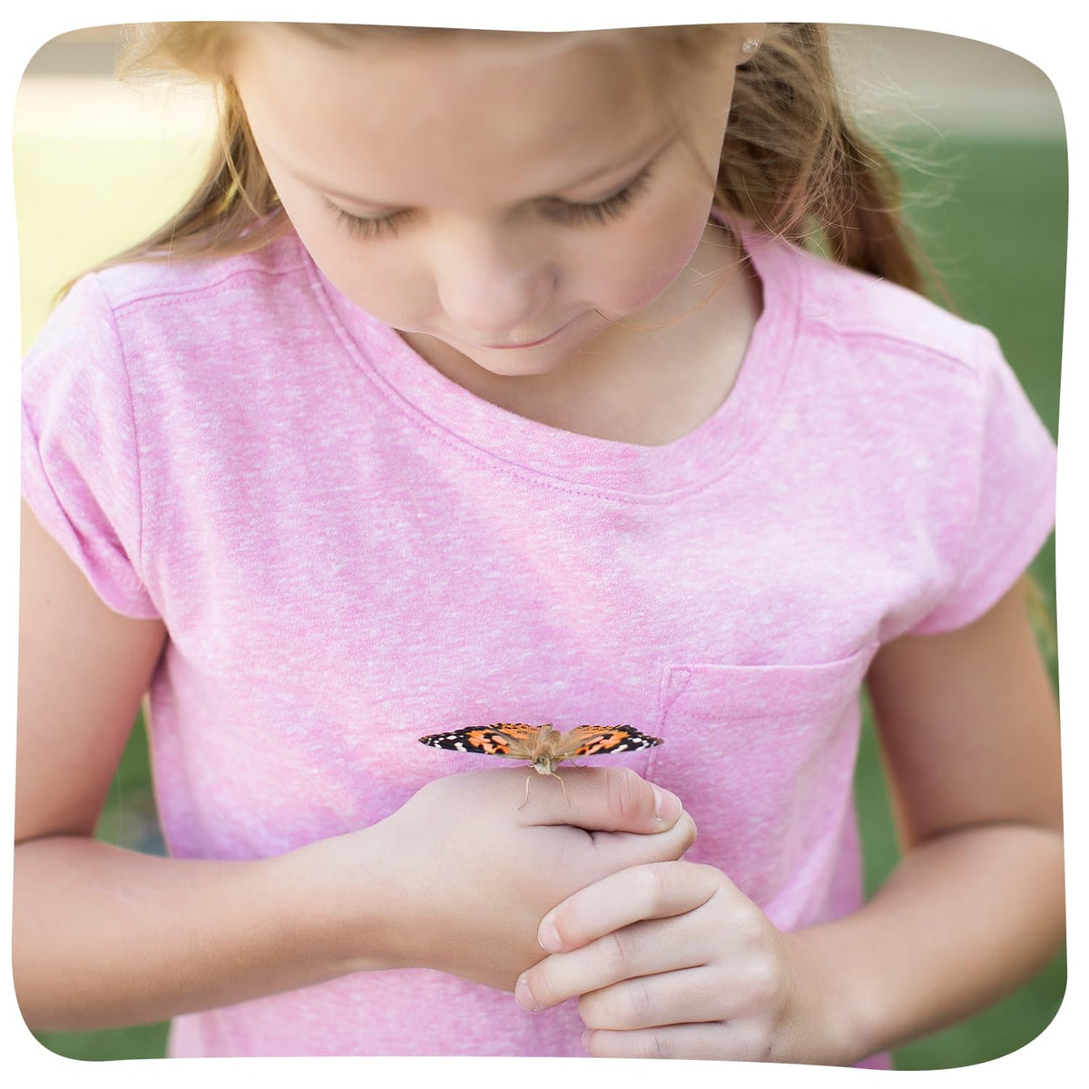 Raise and Release Butterfly Garden Kit – Caterpillar Habitat with redeemable Voucher- STEM