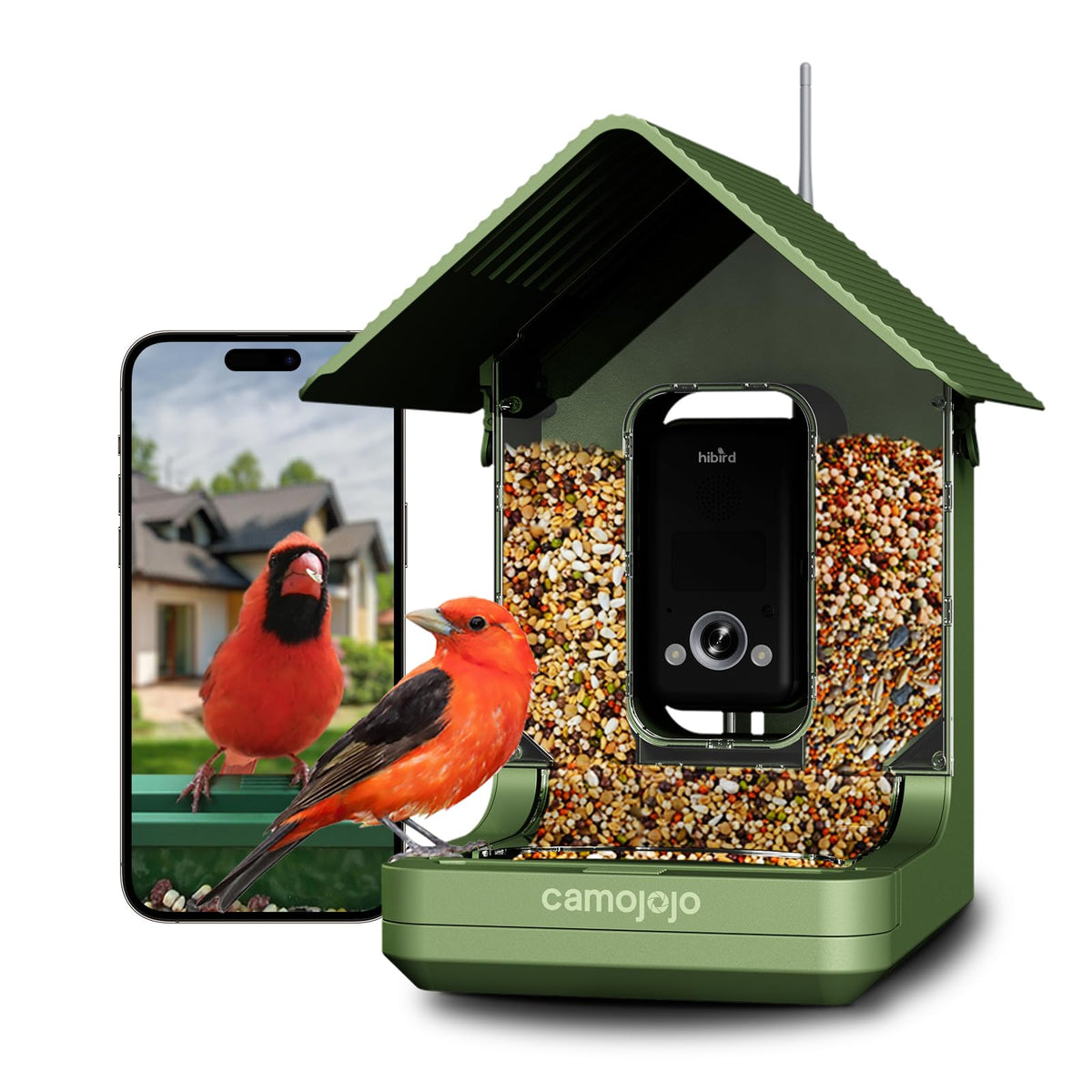 4K HD Smart Bird Feeder with Camera