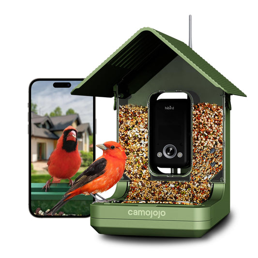4K HD Smart Bird Feeder with Camera