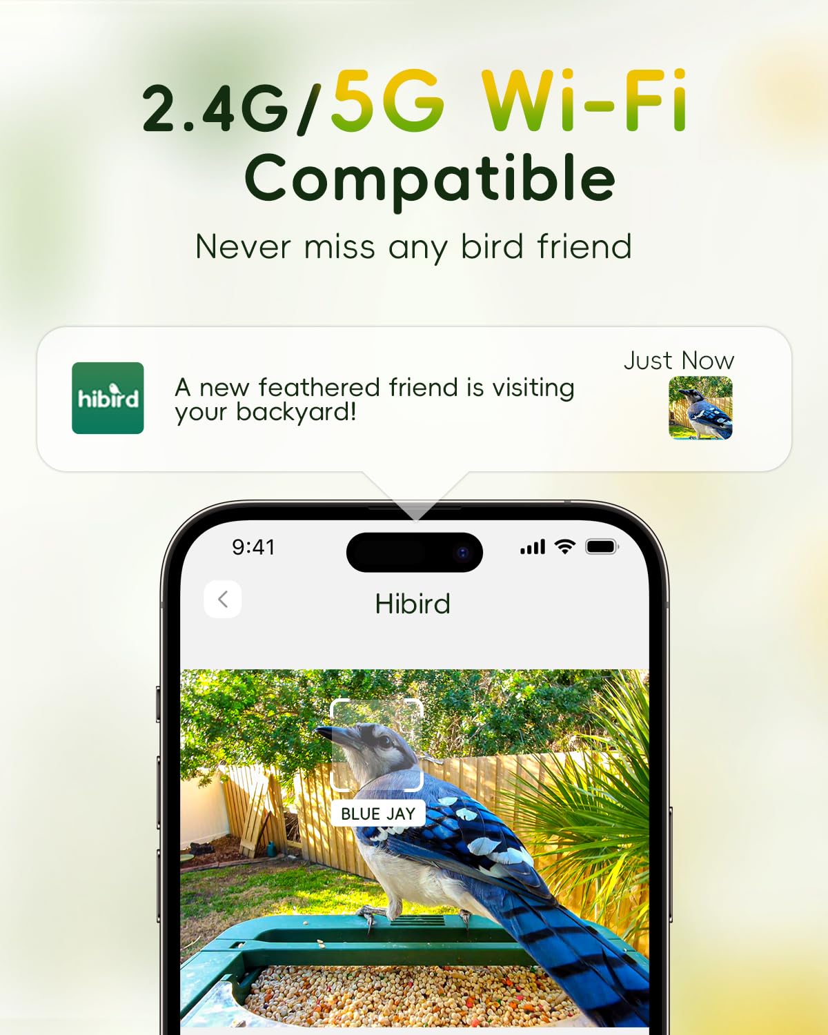 4K HD Smart Bird Feeder with Camera