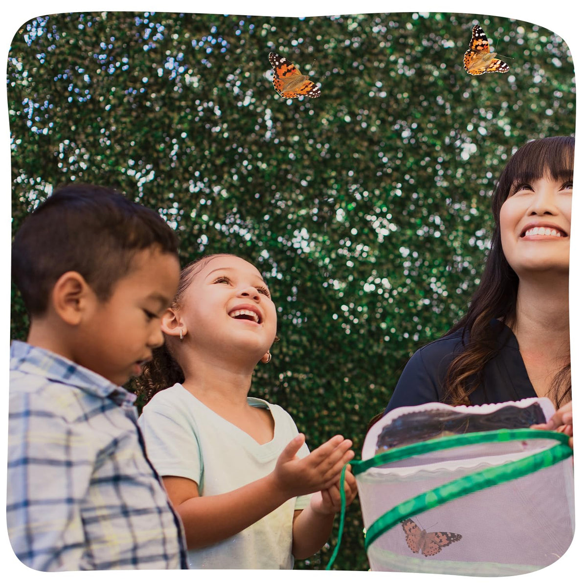 Raise and Release Butterfly Garden Kit – Caterpillar Habitat with redeemable Voucher- STEM