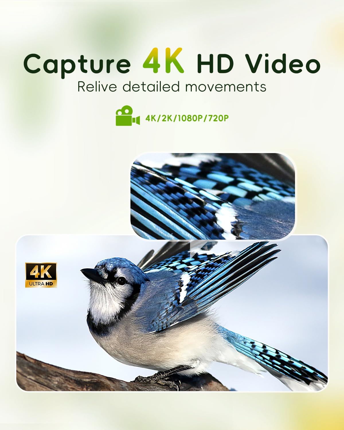 4K HD Smart Bird Feeder with Camera