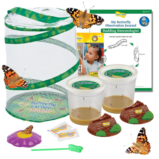 Butterfly Garden with 10 Live Baby Caterpillars - Habitat, Feeder, Chrys-A-Lid Holders, STEM