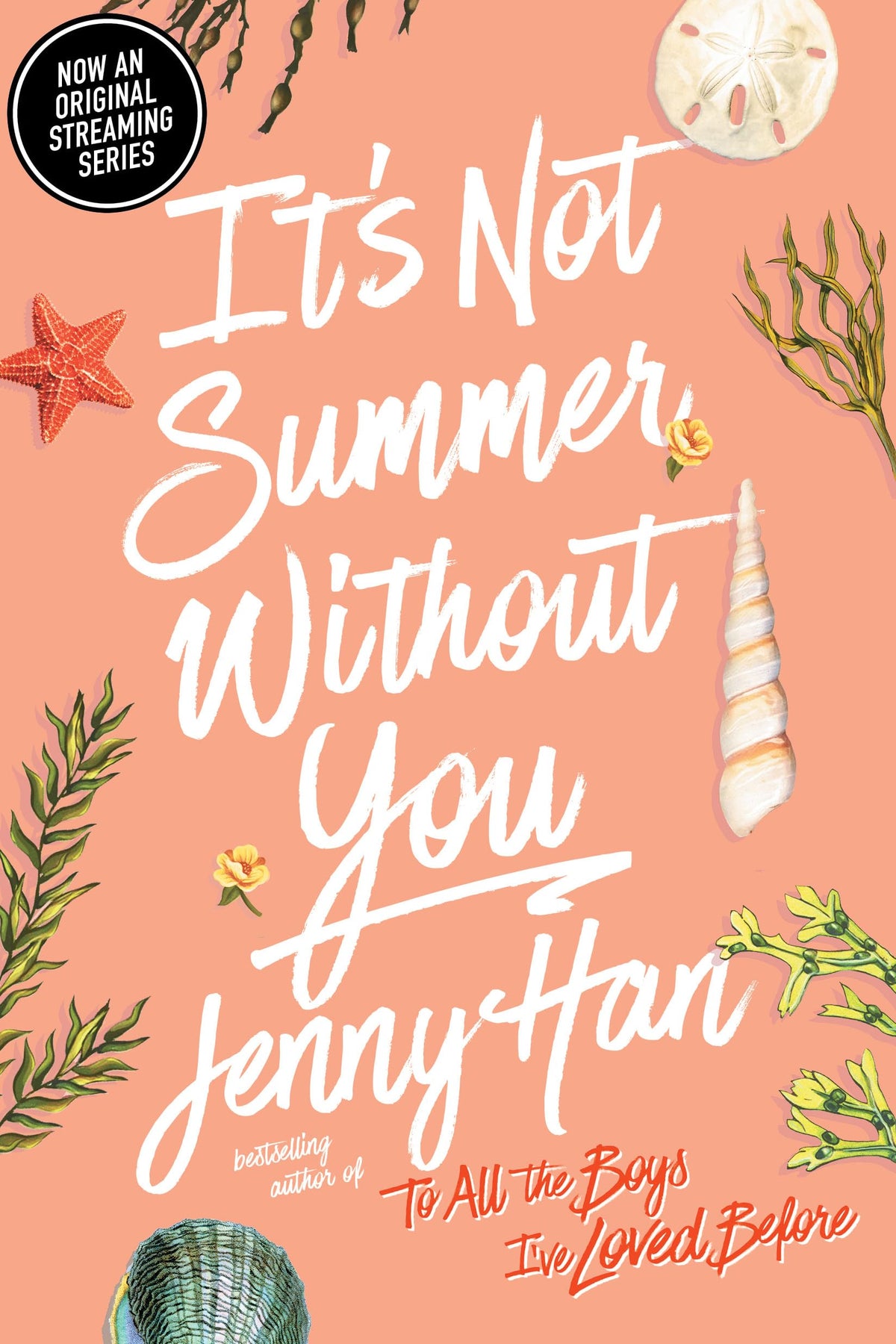It's Not Summer Without You- HC