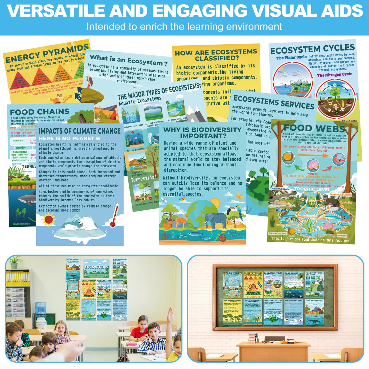 Pasimy 11 Pcs Science Biology Posters- Ecosystems