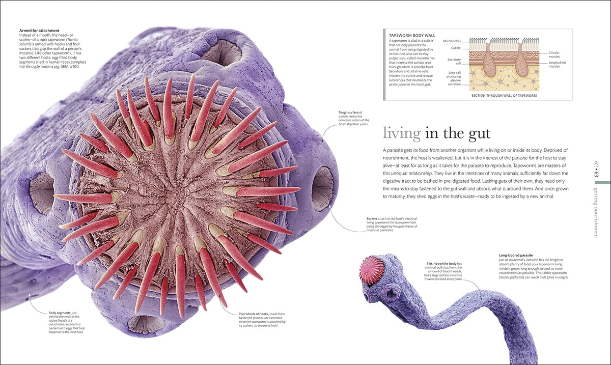 Micro Life: Miracles of the Miniature World Revealed (DK Secret World Encyclopedias) (Packaging may vary)