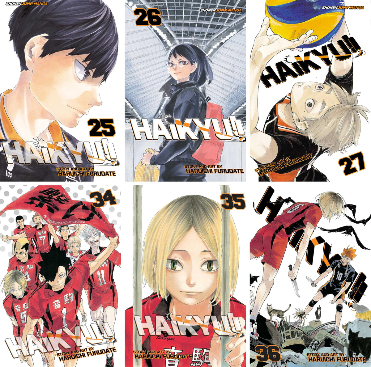 Haikyu!! Series, Complete (Vol. 1-45) Manga Set, by Haruichi Furudate (45 Books)
